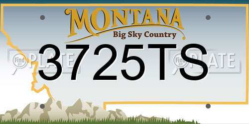 3725TS Montana License Plate