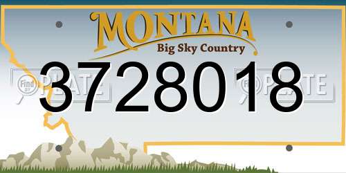 3728018 Montana License Plate