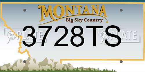 3728TS Montana License Plate