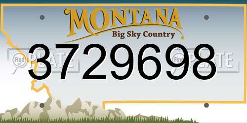 3729698 Montana License Plate