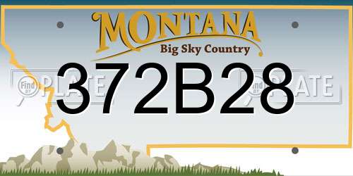 372B28 Montana License Plate