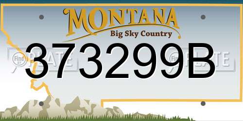 373299B Montana License Plate
