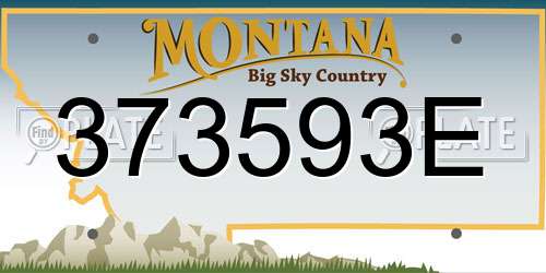 373593E Montana License Plate