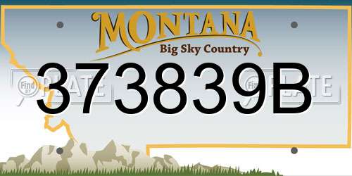 373839B Montana License Plate