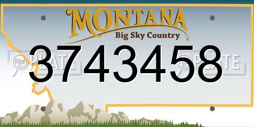 3743458 Montana License Plate