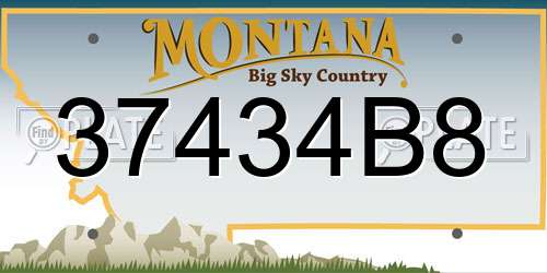 37434B8 Montana License Plate