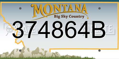 374864B Montana License Plate