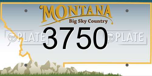 3750 Montana License Plate