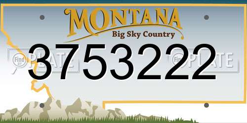 3753222 Montana License Plate