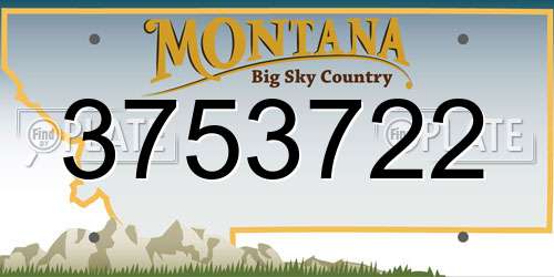 3753722 Montana License Plate