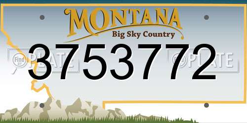 3753772 Montana License Plate