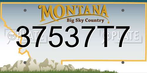 37537T7 Montana License Plate