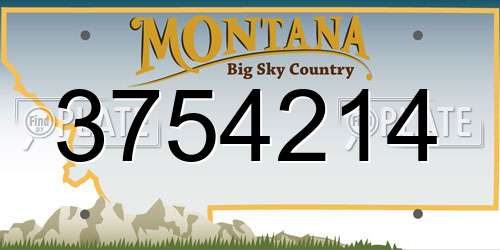 3754214 Montana License Plate