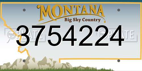 3754224 Montana License Plate