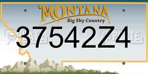 37542Z4 Montana License Plate