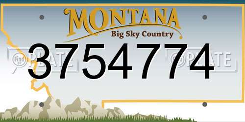 3754774 Montana License Plate