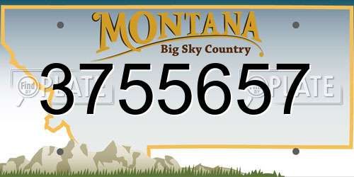 3755657 Montana License Plate