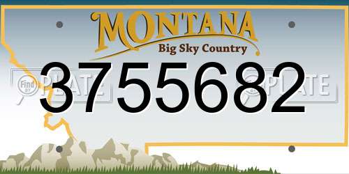 3755682 Montana License Plate