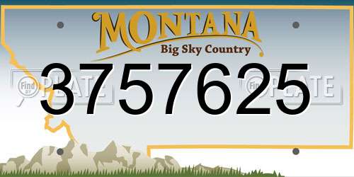 3757625 Montana License Plate