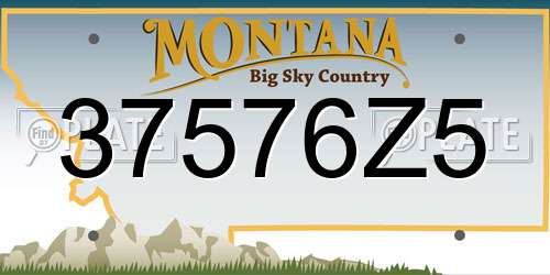37576Z5 Montana License Plate