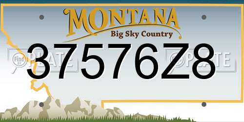 37576Z8 Montana License Plate