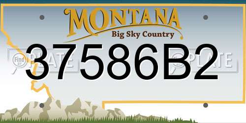 37586B2 Montana License Plate
