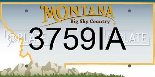 3759IA Montana License Plate