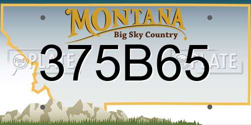 375B65 Montana License Plate