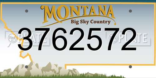 3762572 Montana License Plate