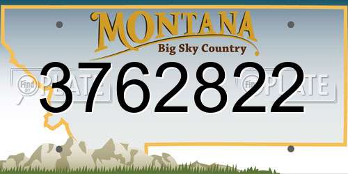 3762822 Montana License Plate