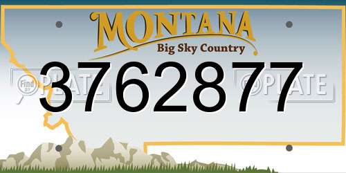 3762877 Montana License Plate