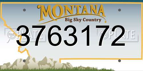 3763172 Montana License Plate