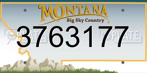 3763177 Montana License Plate
