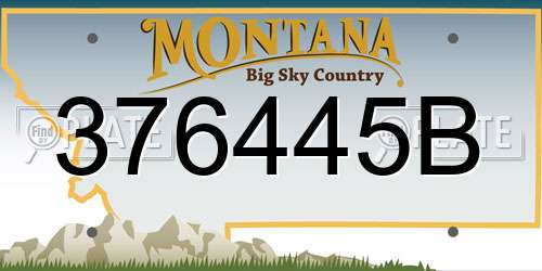 376445B Montana License Plate