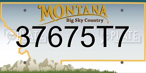 37675T7 Montana License Plate