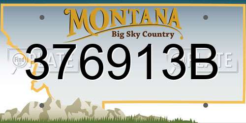 376913B Montana License Plate