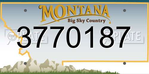 3770187 Montana License Plate