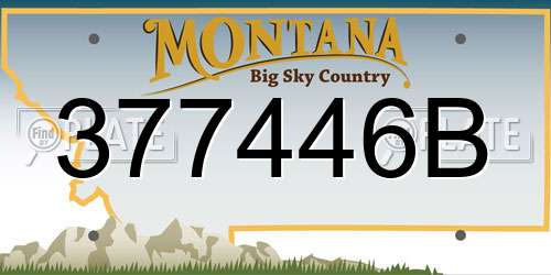 377446B Montana License Plate