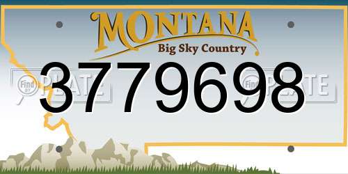 3779698 Montana License Plate