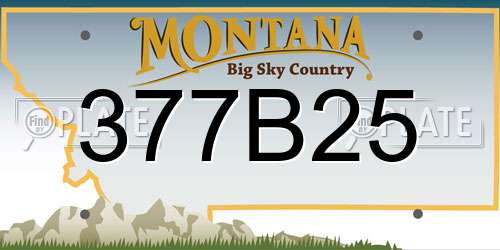 377B25 Montana License Plate