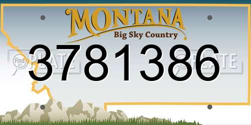 3781386 Montana License Plate