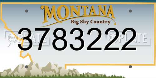 3783222 Montana License Plate