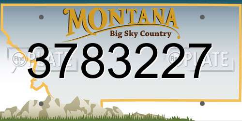3783227 Montana License Plate