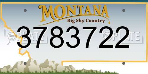 3783722 Montana License Plate