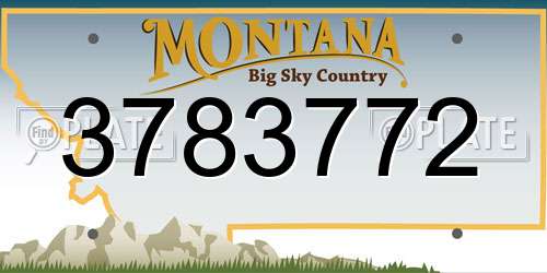 3783772 Montana License Plate