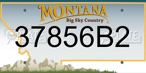 37856B2 Montana License Plate