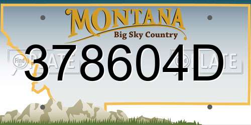 378604D Montana License Plate
