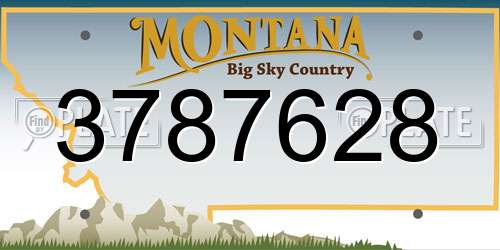 3787628 Montana License Plate