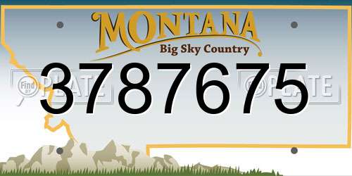 3787675 Montana License Plate