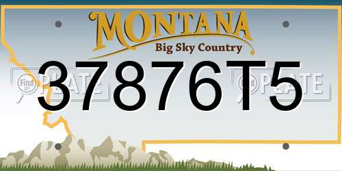 37876T5 Montana License Plate